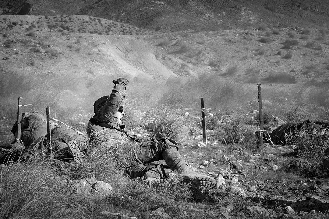 Service members lying among vegetation during an exercise.